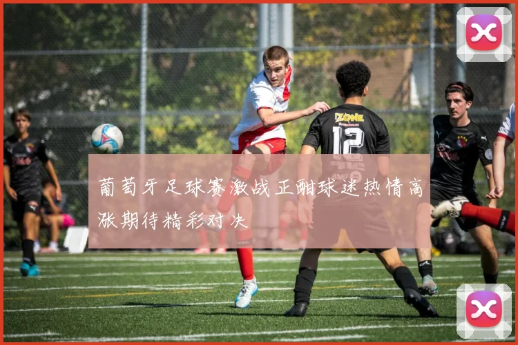 葡萄牙足球赛激战正酣球迷热情高涨期待精彩对决