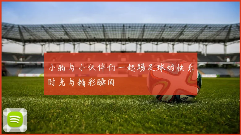 小狗与小伙伴们一起踢足球的快乐时光与精彩瞬间