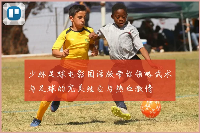 少林足球电影国语版带你领略武术与足球的完美结合与热血激情