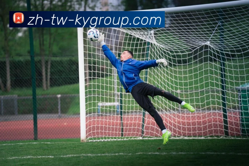 开云平台生态图